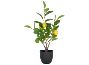 4064118284048 - Kunstpflanze Zitronenbäumchen