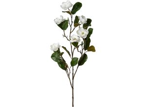 4064118284598 - Kunstblume CREATIV GREEN Magnolienzweig weiß H120cm Kunststoff Kunstpflanzen mit zauberhaften Blüten