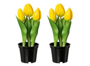 4064118318439 - Kunstblume CREATIV GREEN Tulpe gelb H205cm Kunststoff Kunstpflanzen mit real-touch-Blüten