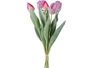 4064118319573 - Kunsttulpe CREATIV GREEN Bund aus Tulpen rosa (rosa mix) H49cm Kunststoff Kunstpflanzen mit 5 Stielen 4064118319573 - Kunsttulpe CREATIV GREEN Bund aus Tulpen rosa (rosa mix) H49cm Kunststoff Kunstpflanzen mit 5 Stielen