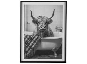 4064118323600 - Bild mit Rahmen CREATIV HOME Leinwandbild Kuh in Badewanne bunt (farbe rahmen schwarz farbe bild(er) bunt) B30cm H40cm T18cm Bilder mit Rahmen