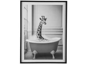4064118323617 - Bild mit Rahmen CREATIV HOME Leinwandbild Giraffe in Badewanne bunt (farbe rahmen schwarz farbe bild(er) bunt) B30cm H40cm T18cm Bilder mit Rahmen