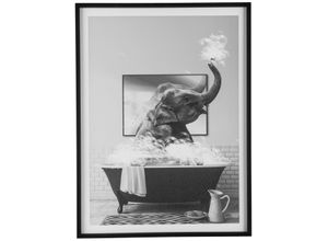 4064118323624 - Bild mit Rahmen CREATIV HOME Leinwandbild Elefant in Badewanne bunt (farbe rahmen schwarz farbe bild(er) bunt) B30cm H40cm T18cm Canvas Kunststoff Bilder mit Rahmen