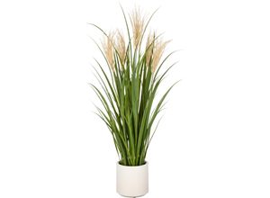 4064118325499 - Kunstgras CREATIV GREEN Grasbusch Schilfrohr grün H125cm Kunststoff Kunstpflanzen im eleganten Topf