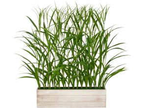 4064118325529 - Kunstgras CREATIV GREEN Raumteiler Gras grün B72cm H120cm T15cm Kunststoff Kunstpflanzen mit filigranen Grashalmen