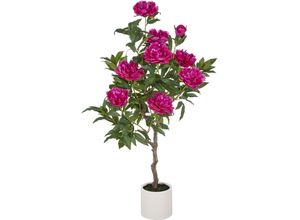 4064118325611 - Kunstpflanze CREATIV GREEN Peonie pink (fuchsia) H120cm Kunststoff Kunstpflanzen im eleganten Topf 4064118325611 - Kunstpflanze CREATIV GREEN Peonie pink (fuchsia) H120cm Kunststoff Kunstpflanzen im eleganten Topf