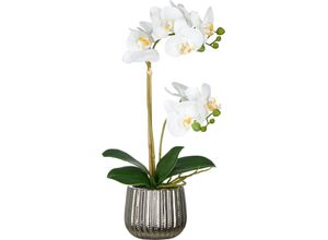 4064118325758 - Kunstorchidee CREATIV GREEN Orchidee Phalaenopsis weiß H48cm Kunststoff Kunstpflanzen mit real-touch-Blüten