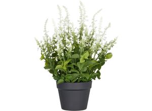 4064118325901 - Kunstpflanze CREATIV GREEN Salvia superba lila H50cm Kunststoff Kunstpflanzen in UV-beständiger Ausführung