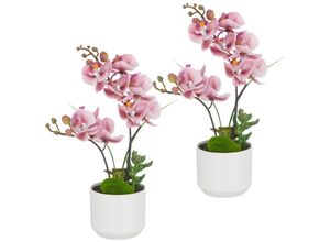 4064118325987 - Kunstorchidee CREATIV GREEN Orchidee Phalaenopsis rosa (dunkelrosa) H30cm Kunststoff Kunstpflanzen mit real-touch-Blüten 4064118325987 - Kunstorchidee CREATIV GREEN Orchidee Phalaenopsis rosa (dunkelrosa) H30cm Kunststoff Kunstpflanzen mit real-touch-Blüten