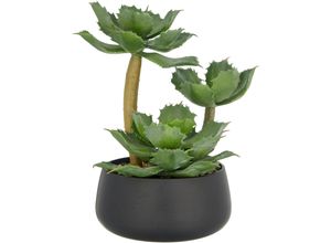 4064118326311 - Kunstpflanze CREATIV GREEN Echeveria grün H28cm Kunststoff Kunstpflanzen mit dekorativem Kies