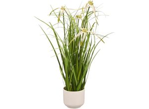 4064118351757 - Kunstgras CREATIV GREEN Grasbusch Sternsegge grün H45cm Ø17cm Kunststoff Kunstpflanzen mit Blüten