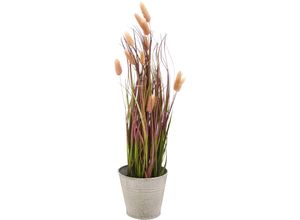 4064118351801 - Kunstgras CREATIV GREEN Grasbusch Lagurus grün (grün rosa) H60cm Ø14cm Kunststoff Kunstpflanzen mit zarten Blüten