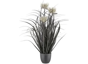 4064118351849 - Kunstgras CREATIV GREEN Grasbusch schwarz H63cm Ø18cm Kunststoff Kunstpflanzen mit Blüten 4064118351849 - Kunstgras CREATIV GREEN Grasbusch schwarz H63cm Ø18cm Kunststoff Kunstpflanzen mit Blüten
