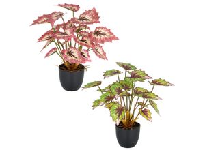 4064118352075 - Kunstpflanze CREATIV GREEN Begonia rex bunt H30cm Kunststoff Kunstpflanzen mit außergewöhnlicher Blattzeichnung