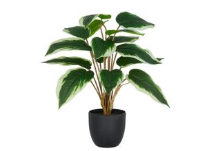 4064118352334 - Kunstpflanze CREATIV GREEN Hosta grün (grün weiß) H45cm Kunststoff Kunstpflanzen mit naturgetreuem Blattwerk