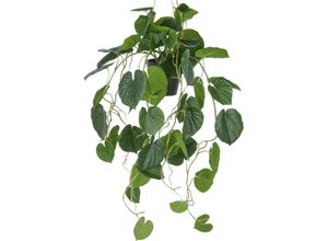 4064118352501 - Kunstpflanze CREATIV GREEN Hängende Peperomia caperata grün H70cm Kunststoff Kunstpflanzen mit üppigen Ranken