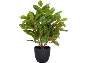 4064118352624 - Kunstpflanze CREATIV GREEN Acuba grün H40cm Kunststoff Kunstpflanzen mit schönem Blattwerk