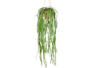 4064118352815 - Kunstpflanze CREATIV GREEN Hängende Rhipsalis crispata grün H80cm Kunststoff Kunstpflanzen mit zahlreichen Ranken
