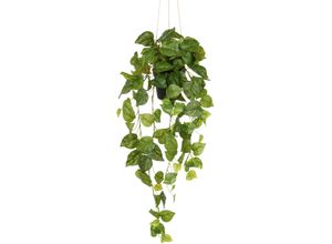 4064118352969 - Kunstpflanze CREATIV GREEN Hängender Philodendron hederaceum grün H75cm Kunststoff Kunstpflanzen mit üppigen Ranken
