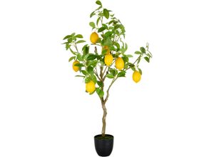 4064118353782 - Kunstbaum CREATIV GREEN Zitrone grün H90cm Kunststoff Kunstpflanzen mit detailgetreuer Gestaltung 4064118353782 - Kunstbaum CREATIV GREEN Zitrone grün H90cm Kunststoff Kunstpflanzen mit detailgetreuer Gestaltung