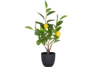 4064118353904 - Kunstbaum CREATIV GREEN Zitrone grün H48cm Kunststoff Kunstpflanzen mit detailgetreuer Gestaltung