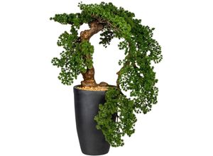 4064118841340 - Kunstbonsai Carolyne Kunstpflanzen Gr B H 46 cm x 70 cm 1 St grün Kunst-Bonsai Kunstpflanze im Magnesiatopf