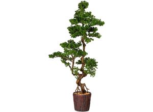 4064118842064 - Kunstbonsai HOME AFFAIRE Perreux Kunstpflanzen Gr B H 67 cm x 155 cm 1 St grün Kunst-Bonsai im Magnesiatopf