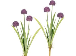 4064118842088 - Kunstblume MY HOME Vivian Kunstpflanzen Gr H 60 cm 2 St lila Kunst-Blumen 2er Set 4064118842088 - Kunstblume MY HOME Vivian Kunstpflanzen Gr H 60 cm 2 St lila Kunst-Blumen 2er Set