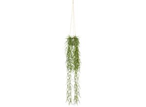 4064118842422 - Kunstranke CREATIV GREEN Tillandsia aeranthos im Hängetopf Kunstpflanzen Gr B H 10 cm x 90 cm 1 St grün Kunst-Ranken im Hängetopf aus Kunststoff