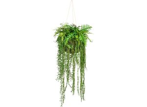 4064118842477 - Künstliche Zimmerpflanze CREATIV GREEN Dekokugel zum Hängen Kunstpflanzen Gr Ø H 40 cm x 120 cm 1 St grün Künstliche Zimmerpflanze Zimmerpflanzen