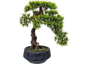 4064118842965 - Kunstbonsai HOME AFFAIRE Louvenne Kunstpflanzen Gr B H 24 cm x 52 cm 1 St grün Kunst-Bonsai Kunstpflanze im Topf