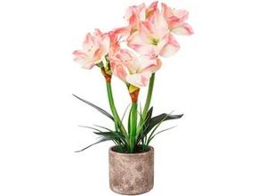 4064118843283 - Amaryllis 1121503LO-10 aus Kunststoff