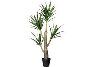 4064118843290 - Kunstpflanze 1720106LO-50 Dracaena