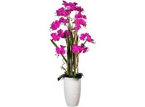 4064118843351 - Kunstpflanze 1721308LO-80 Phalaenopsis