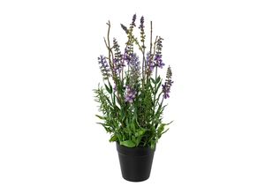 4064118857099 - Kunstpflanze Lavendel 4064118857099 - Kunstpflanze Lavendel
