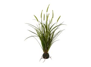 4064118857297 - Kunstpflanze Miscanthus 4064118857297 - Kunstpflanze Miscanthus