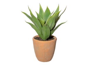 4064118893783 - Kunstpflanze Agave 4064118893783 - Kunstpflanze Agave