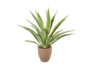 4064118893837 - Kunstpflanze Agave 4064118893837 - Kunstpflanze Agave