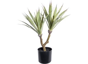 4064118896531 - Agave künstliche Pflanze Kunststofftopf Höhe 600 mm kaiserkraft
