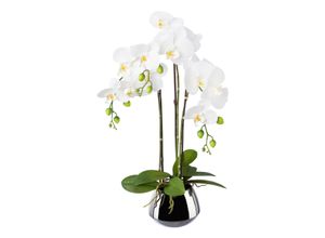 4064118915539 - Kunstpflanze Phalenopsis 4064118915539 - Kunstpflanze Phalenopsis