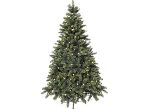 4064118920823 - Tannenbaum mit LEDs inklusive Ständer Höhe 210 cm 450 LEDs