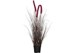 4064118922209 - Kunstpflanze Pennisetum I in Aubergine