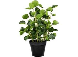 4064118922377 - Kunstpflanze Pileabusch II in Grün Ø ca 11cm