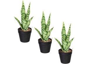 4064118963400 - Kunstpflanze CREATIV GREEN Sanseveria Kunstpflanzen Gr Ø H 85 cm x 27 cm 3 St grün (grün grau) Künstliche Zimmerpflanzen im 3er Set