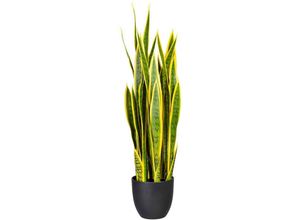 4064118971245 - Künstliche Zimmerpflanze CREATIV GREEN Sanseveria Kunstpflanzen Gr B H 165 cm x 90 cm 1 St grün (grüngelb) Künstliche Zimmerpflanzen