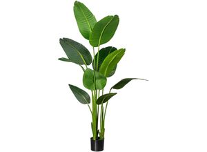 4064118971320 - Künstliche Zimmerpflanze CREATIV GREEN Strelitzia Kunstpflanzen Gr H 160 cm 1 St grün Künstliche Zimmerpflanzen