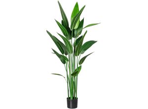 4064118971337 - Künstliche Zimmerpflanze CREATIV GREEN Wassercanna Kunstpflanzen Gr H 140 cm 1 St grün Künstliche Zimmerpflanzen