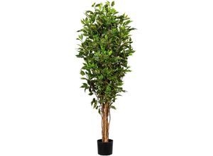 4064118971368 - Kunstbaum CREATIV GREEN Ficus Benjamini Kunstpflanzen Gr H 151 cm 1 St grün Kunst-Bäume