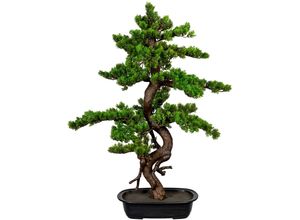 4064118971481 - Kunstbonsai CREATIV GREEN Bonsai Kunstpflanzen Gr B H 55 cm x 85 cm 1 St grün Kunst-Bonsai