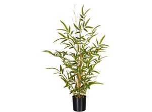 4064118971917 - Künstliche Zimmerpflanze CREATIV GREEN Bambus Kunstpflanzen Gr H 70 cm 1 St grün Künstliche Zimmerpflanzen